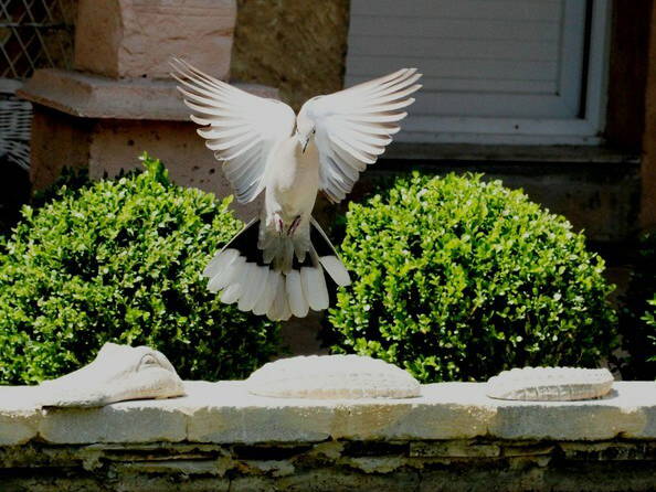 Pokoje Gościnne Bergerac 37027-3