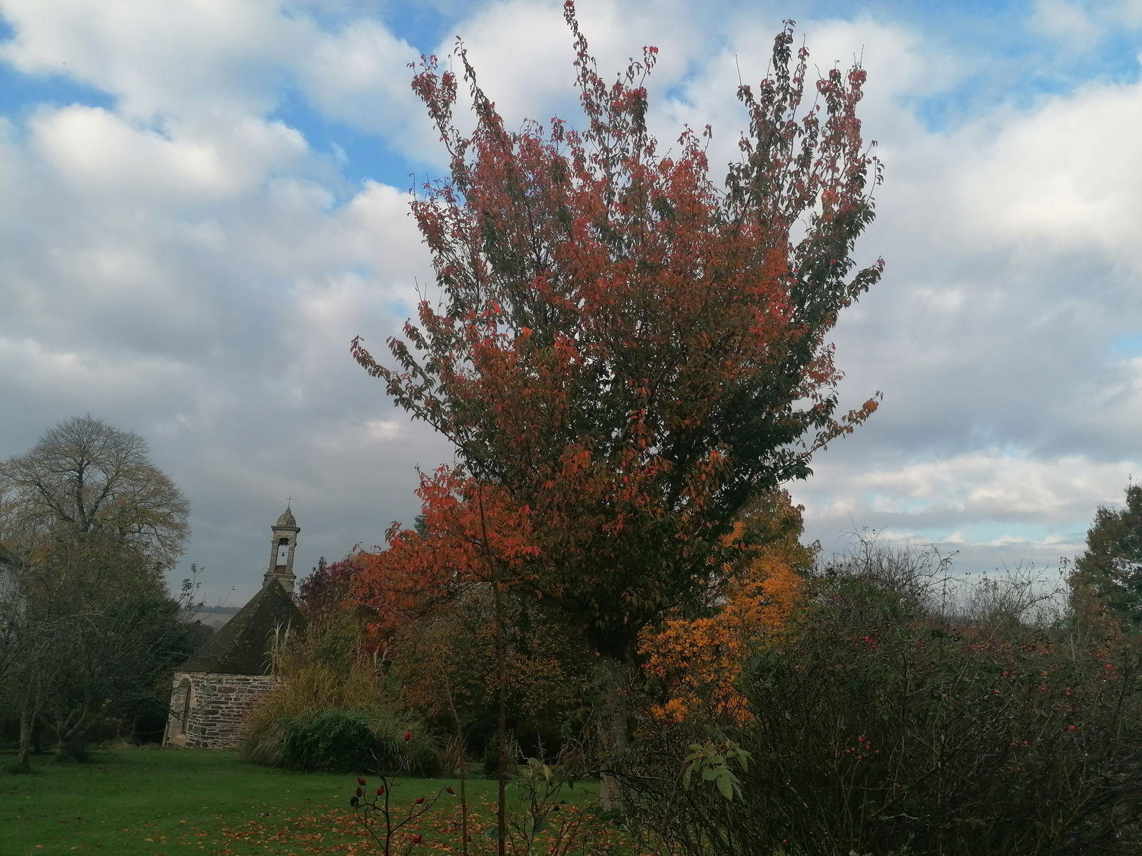 Unabhängiges Studio Briec 74098