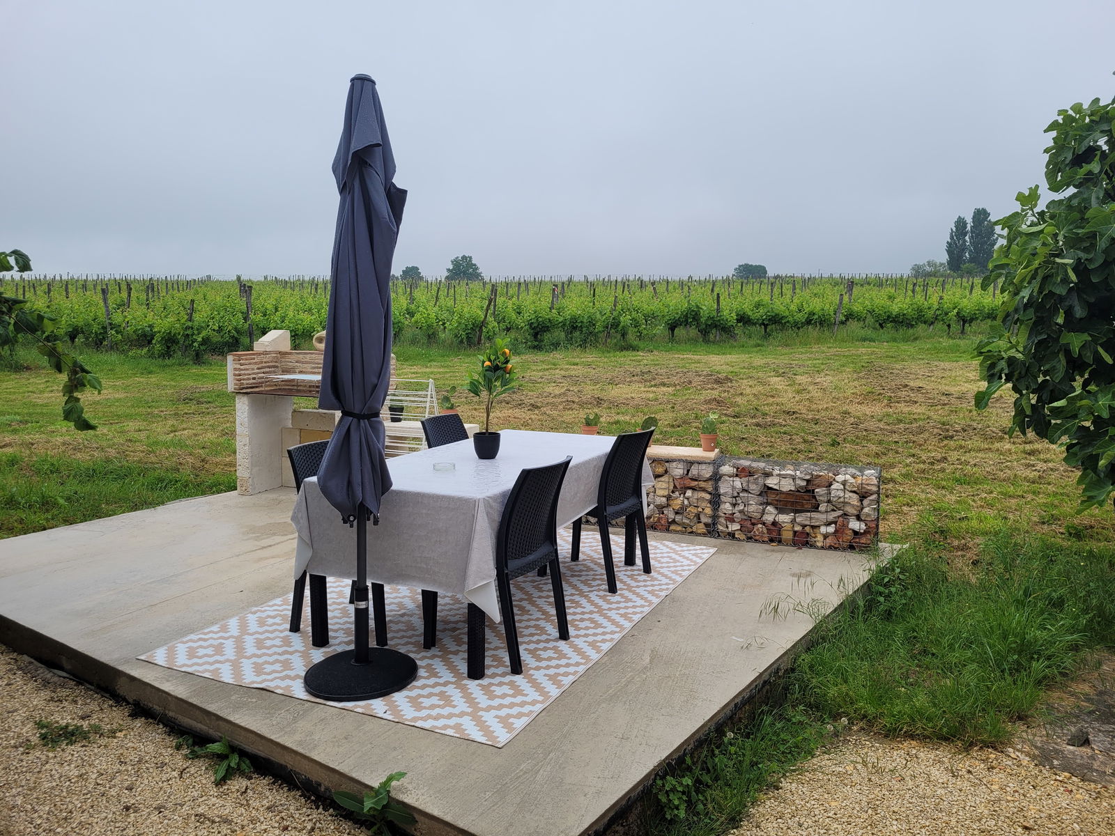 Logement Entier Monbazillac 533920