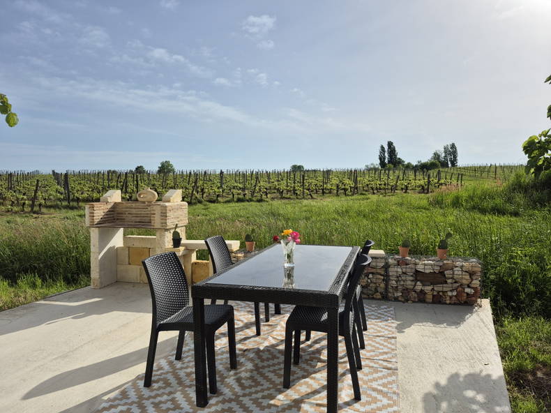 Gesamte Unterkunft Monbazillac 533920-2