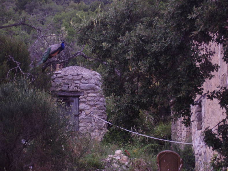 Logement Entier Lourmarin 639738-4