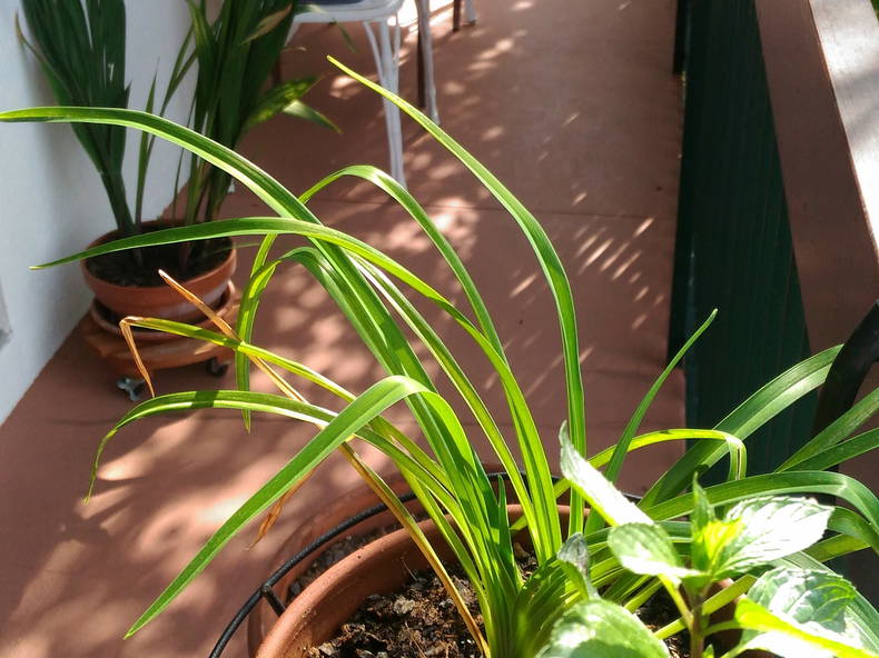 Gastenkamers Vernet-les-Bains 175612-5