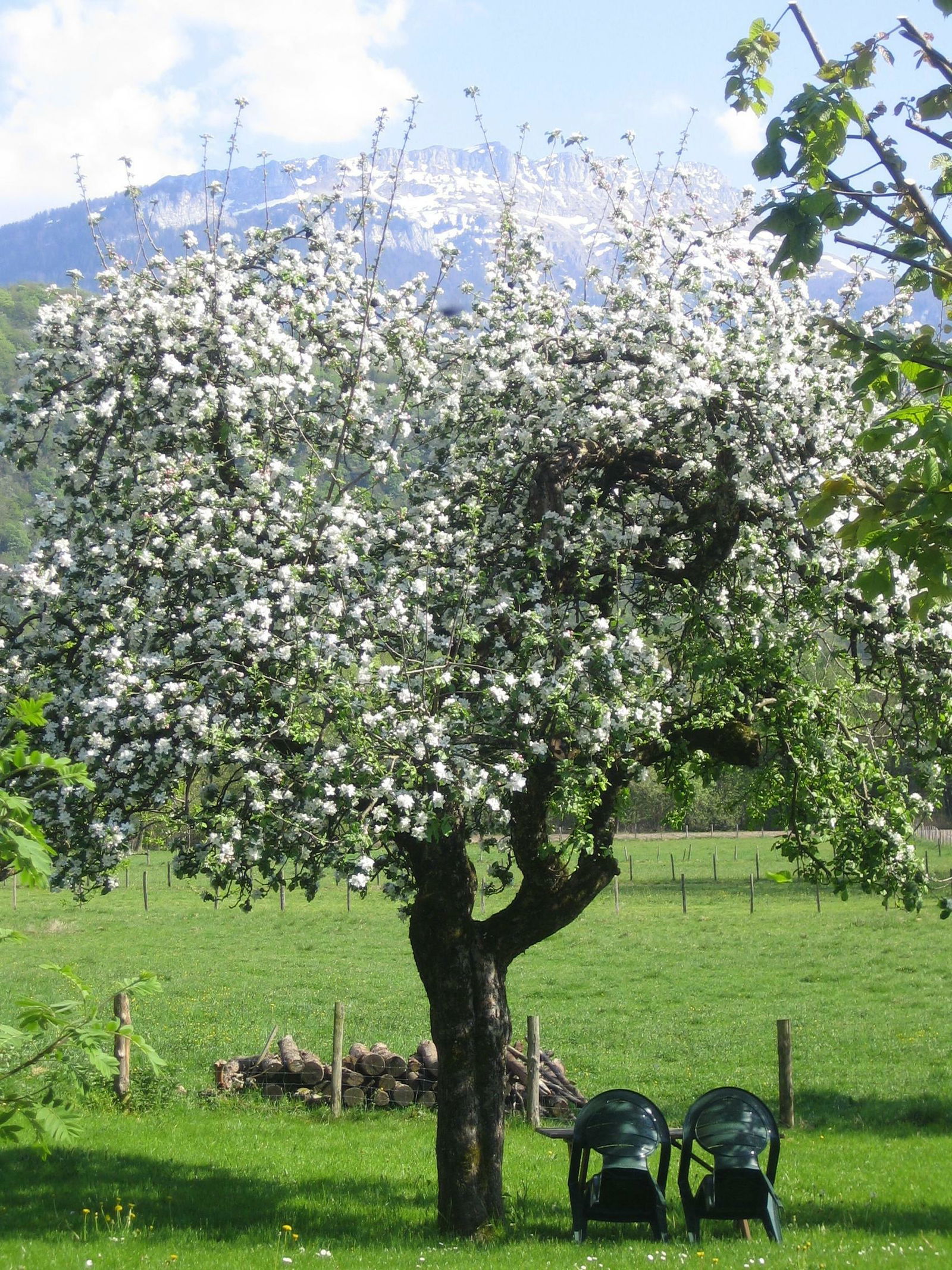 Bed And Breakfast Saint-Aupre 99501