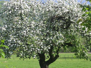 Chambre D'hôte Saint-Aupre 99501-10