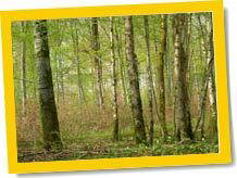 Bed And Breakfast Louvières 65070-3