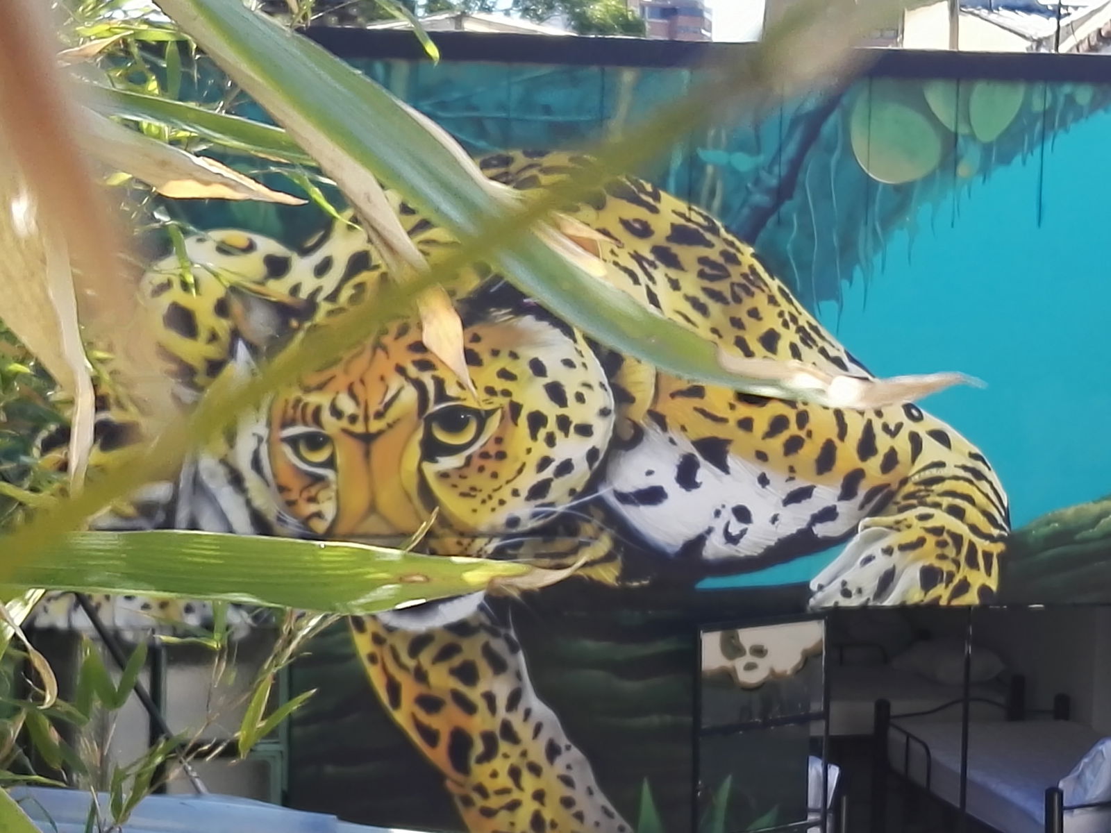 Chambres D'hôtes Bogotá 156481