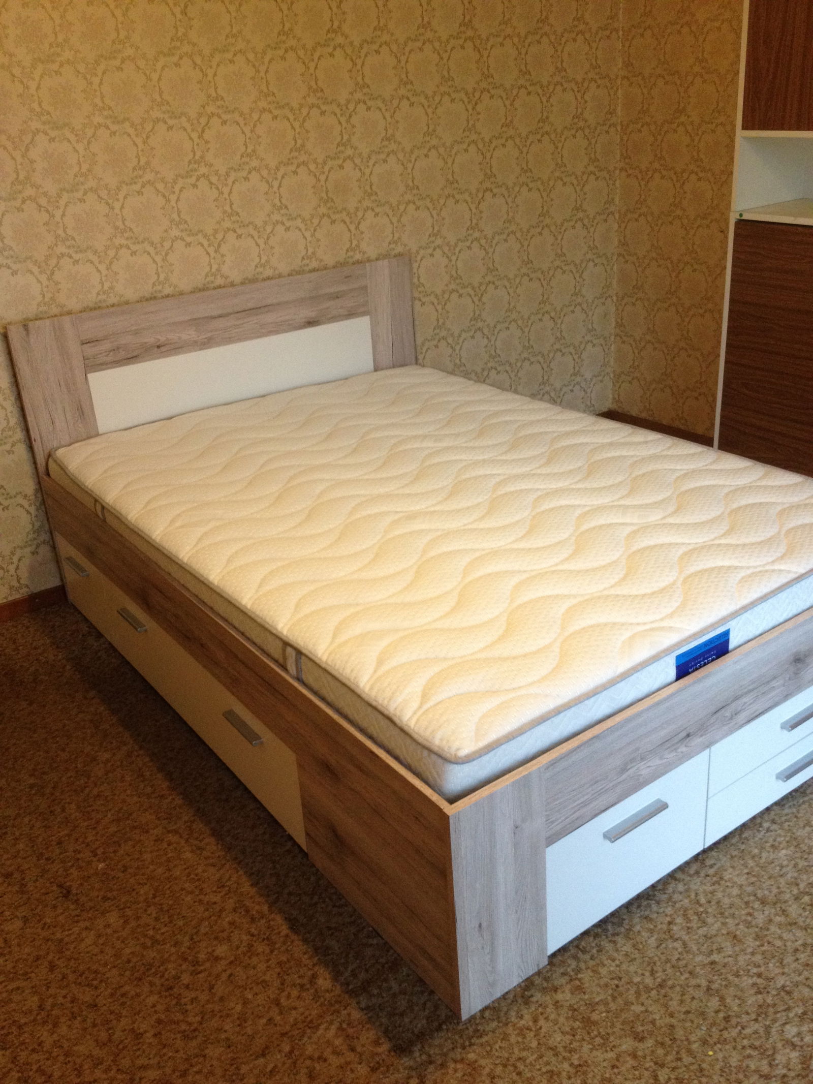 Gastfamilie Vufflens-la-Ville 184381