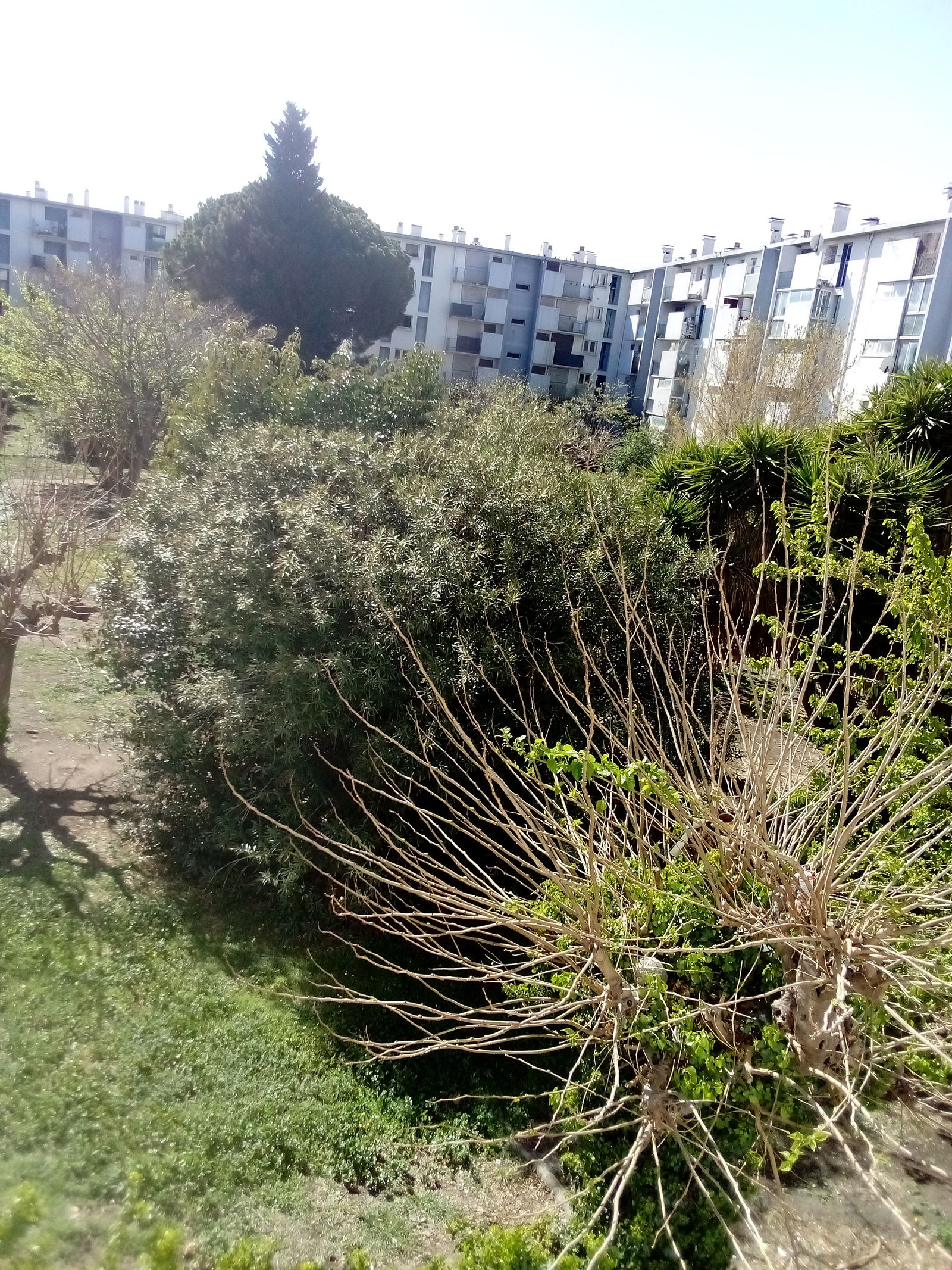 Itsenäinen Studio Perpignan 258115
