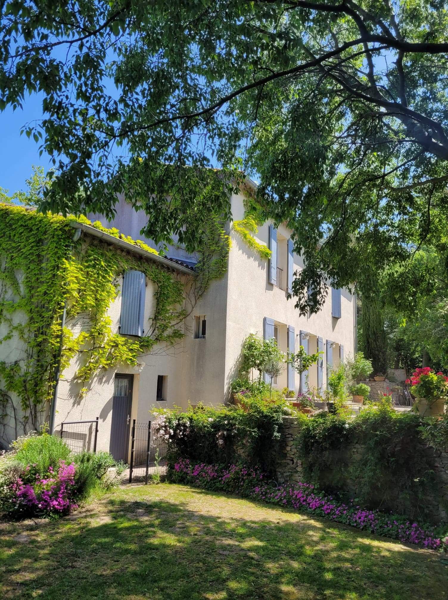Gastfamilie Nîmes 178536