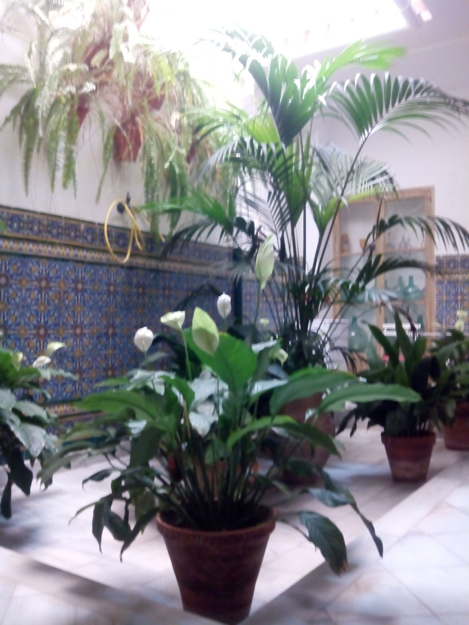 Gastfamilie Córdoba 175608