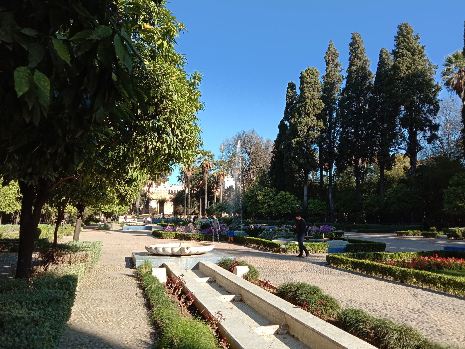 Tutta La Casa Fès 232968