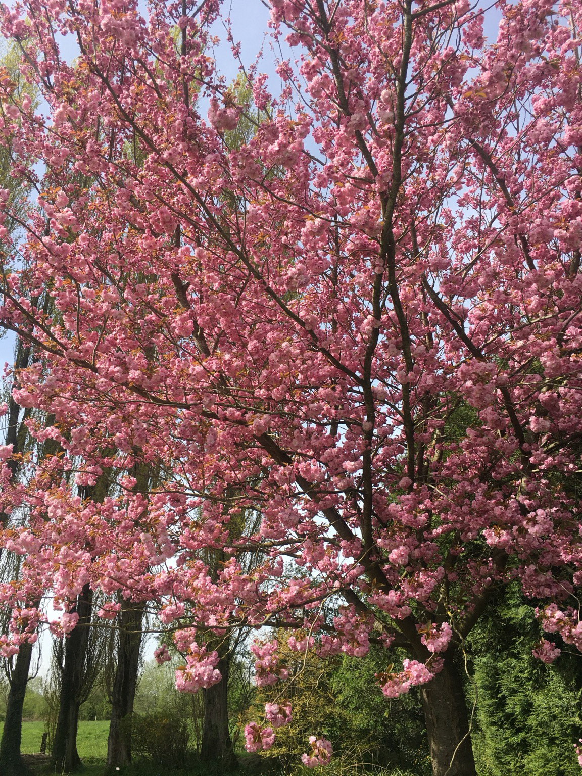 Homestay Lecelles 669932