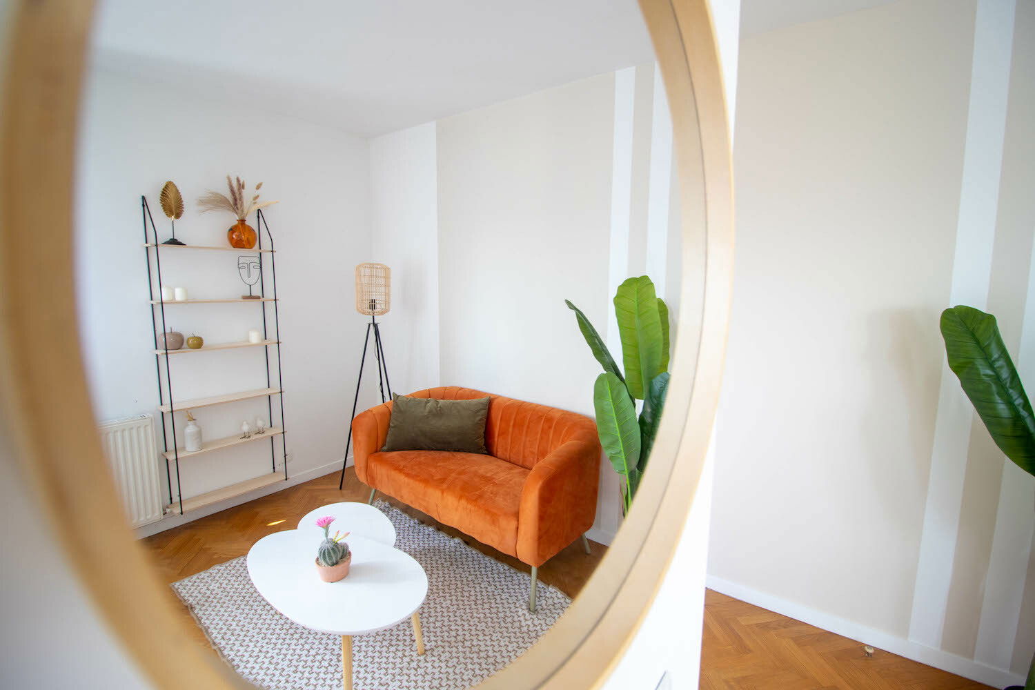 Colocation Saint-Denis 260637