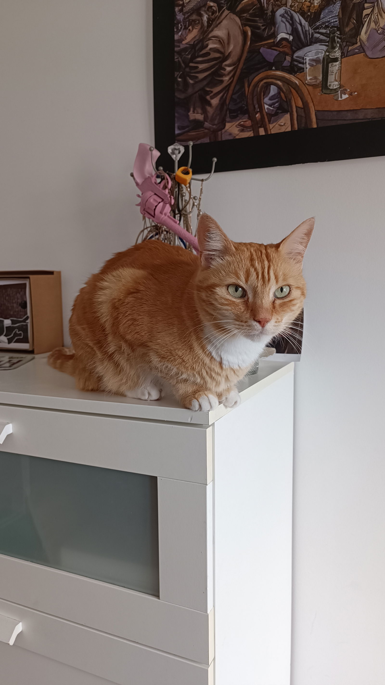 Homestay Cessy 396675