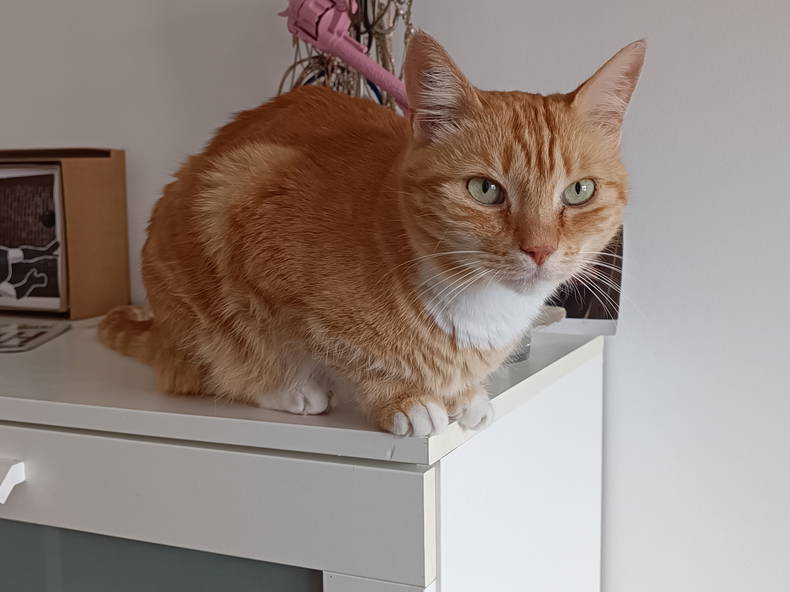 Quedarse En Casa Cessy 396675-5