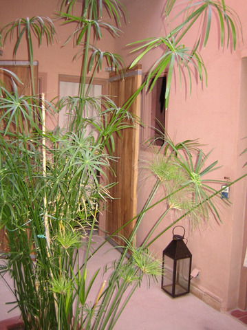 Bed And Breakfast Taroudant 11865