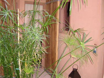 Homestay Taroudant 11865-1