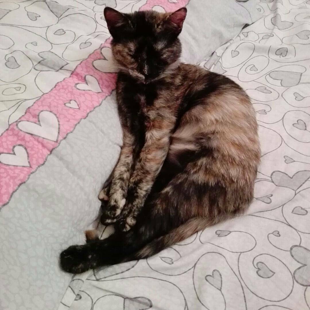 Tuisverblyf Milano 165260