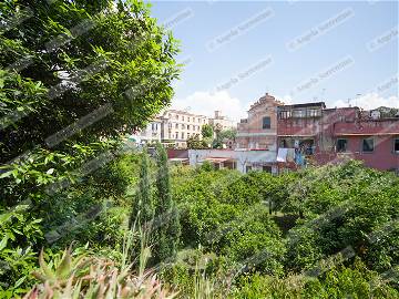 Chambre D'hôte Napoli 193721-8