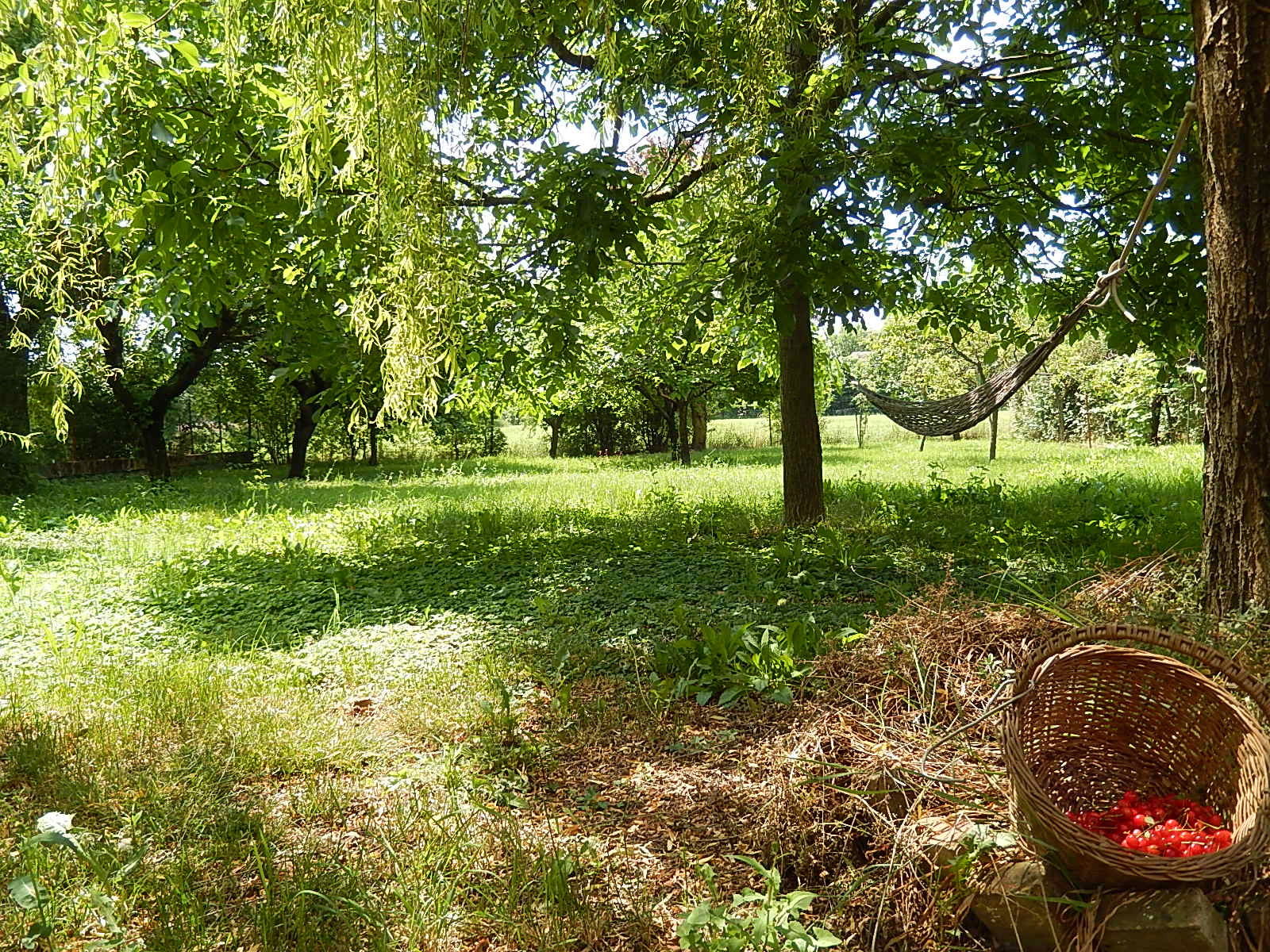 Chambre Chez L'habitant Poviglio 237390