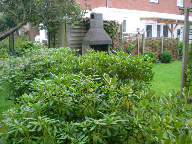 Chambres D'hôtes Süderstapel 67410-5