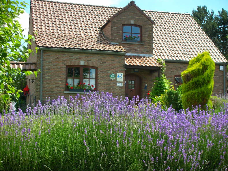 Chambres D'hôtes Mons 91752-1