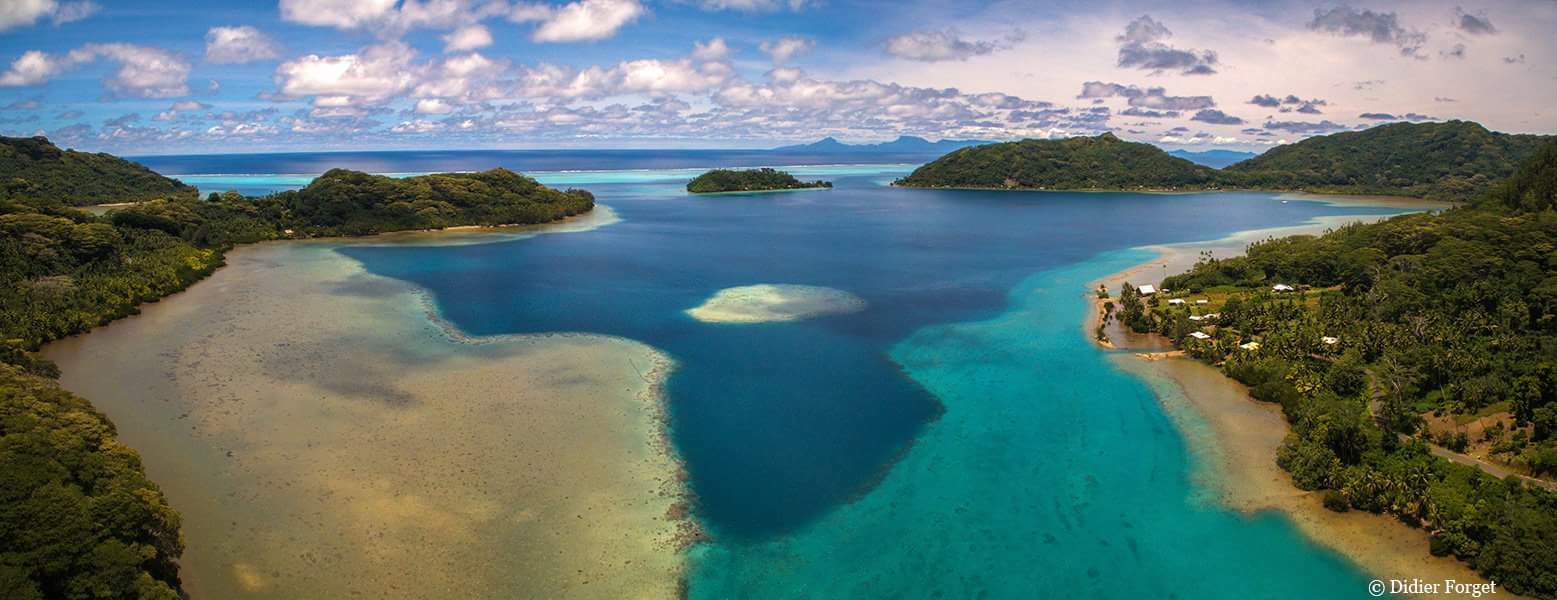 Habitaciones De Huéspedes Îles Sous-le-Vent 175376