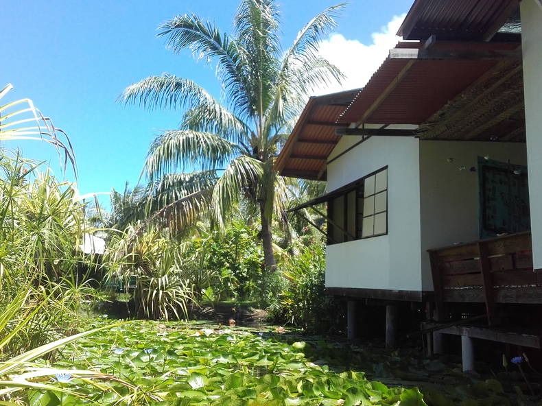 Gastenkamers Îles Sous-le-Vent 175376-3