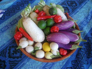 Bed And Breakfast Îles Sous-Le-Vent 175376-8