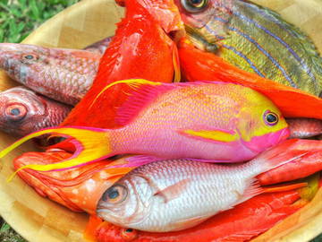 Bed And Breakfast Îles Sous-Le-Vent 175376-10