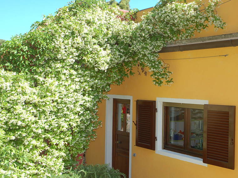 Homestay Schiopparello III 197495