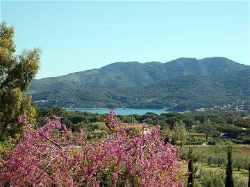 Chambre D'hôte Schiopparello Iii 197495-6