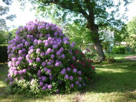 Tutta La Casa Mios 243539