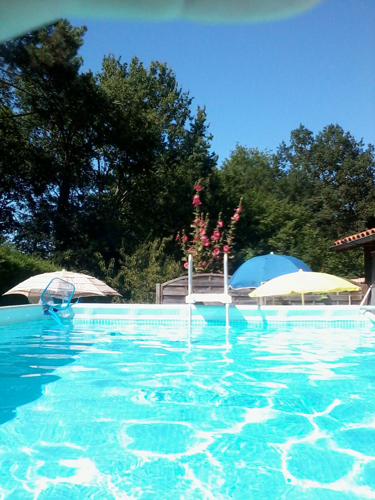 Tutta La Casa Mios 243539