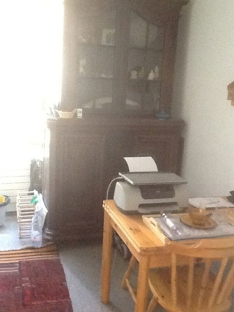 Kolokasie Ferney-Voltaire 36223