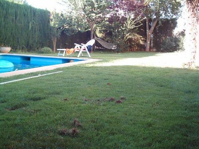 Onafhanklike Ateljee granada 34456