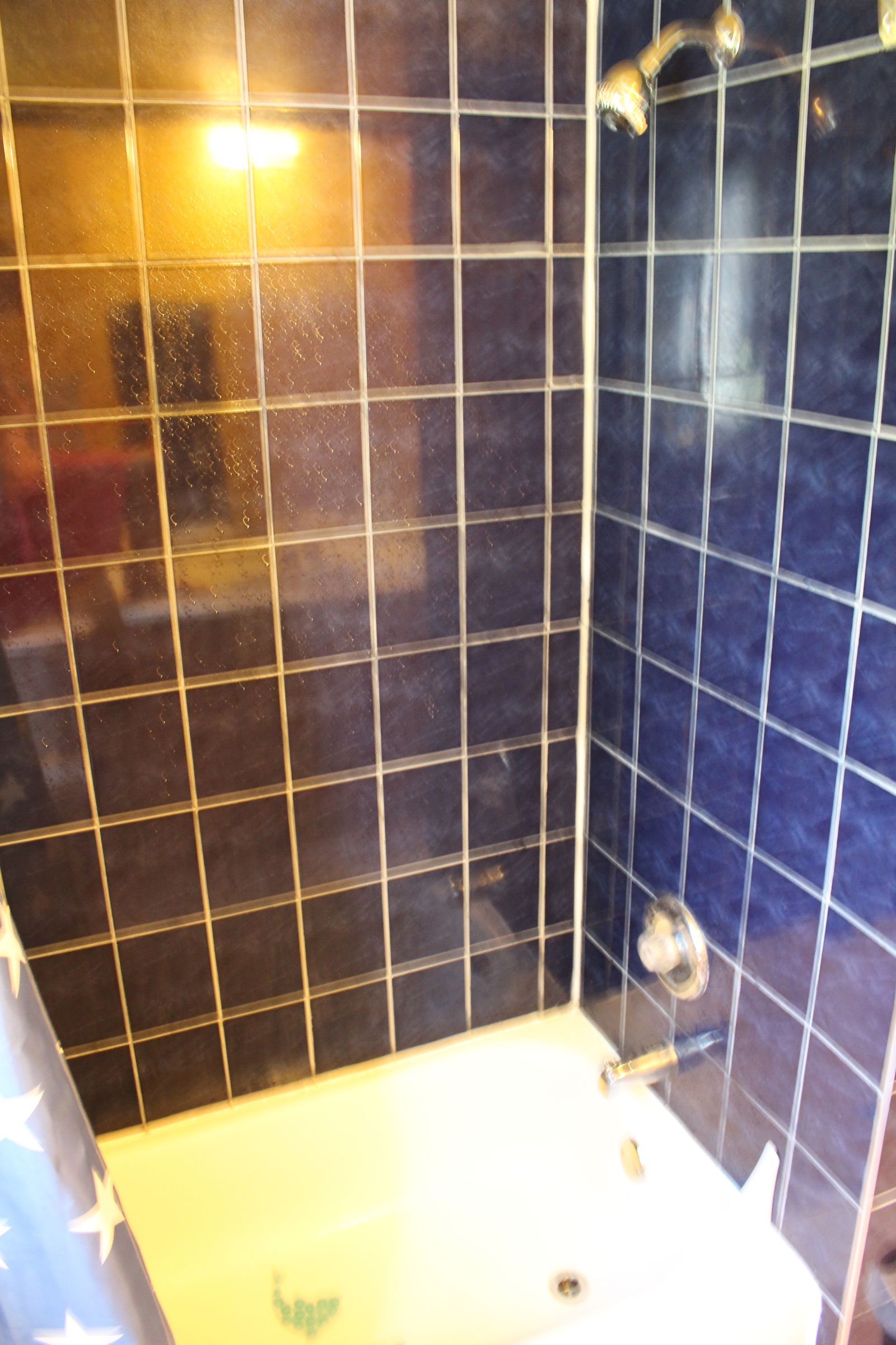 Kolokasie Ville de Québec 162834