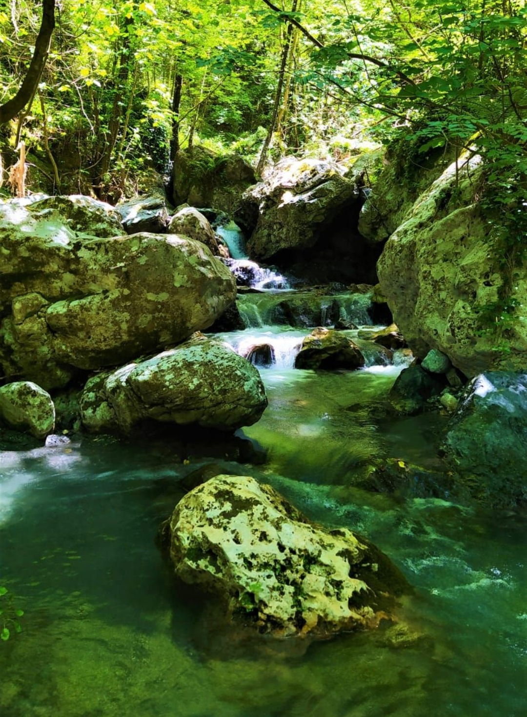 Niezależne Studio Provincia di Cosenza 267203