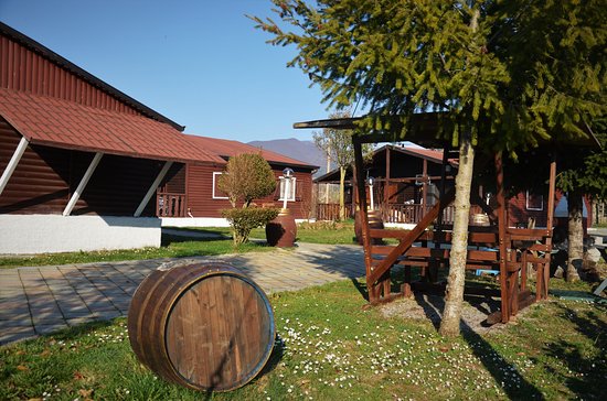 Niezależne Studio Provincia di Cosenza 267203