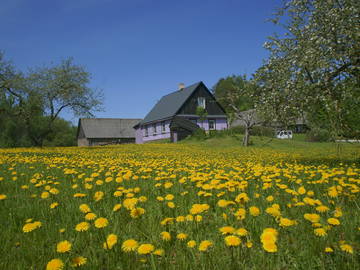 Logement Entier Municipalidad De Daugavpils 180540-6