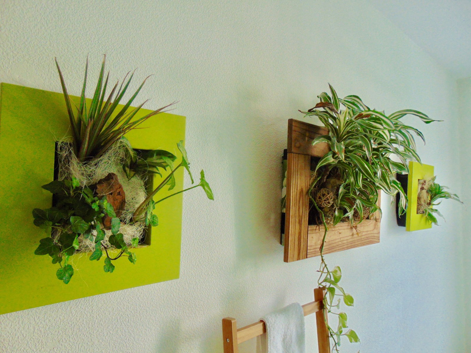 Gastgezin Villeurbanne 205644