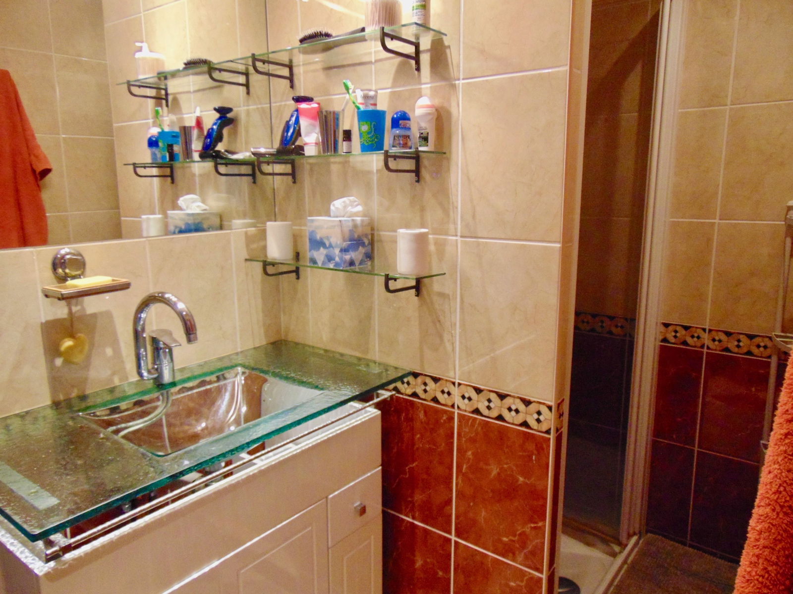 Gastfamilie Villeurbanne 205644