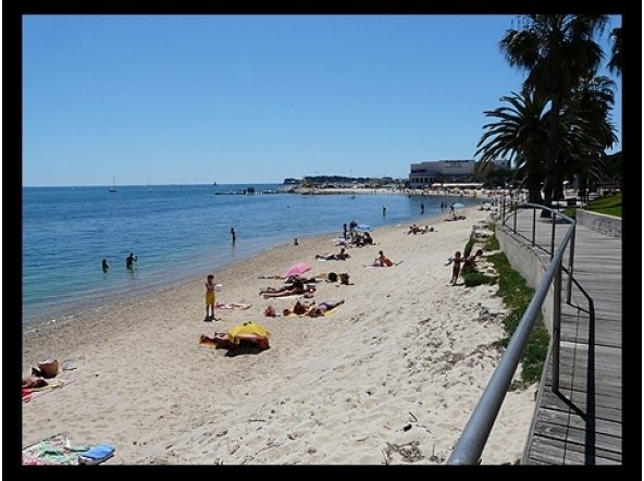 Independent Studio Bandol 123624