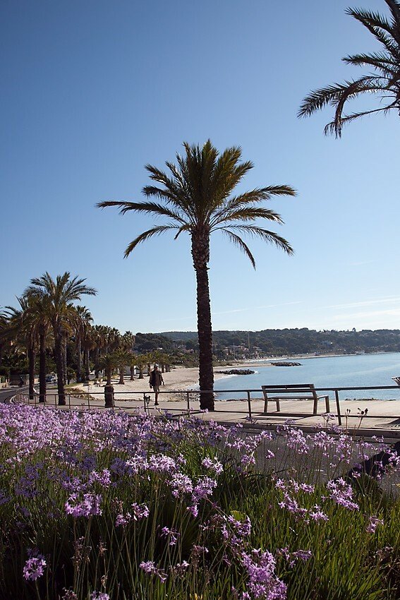 Independent Studio Bandol 123624