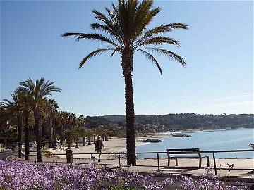 Logement Entier Bandol 123624-10