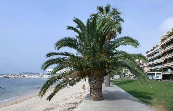 Independent Studio Bandol 123624