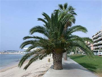 Logement Entier Bandol 123624-11