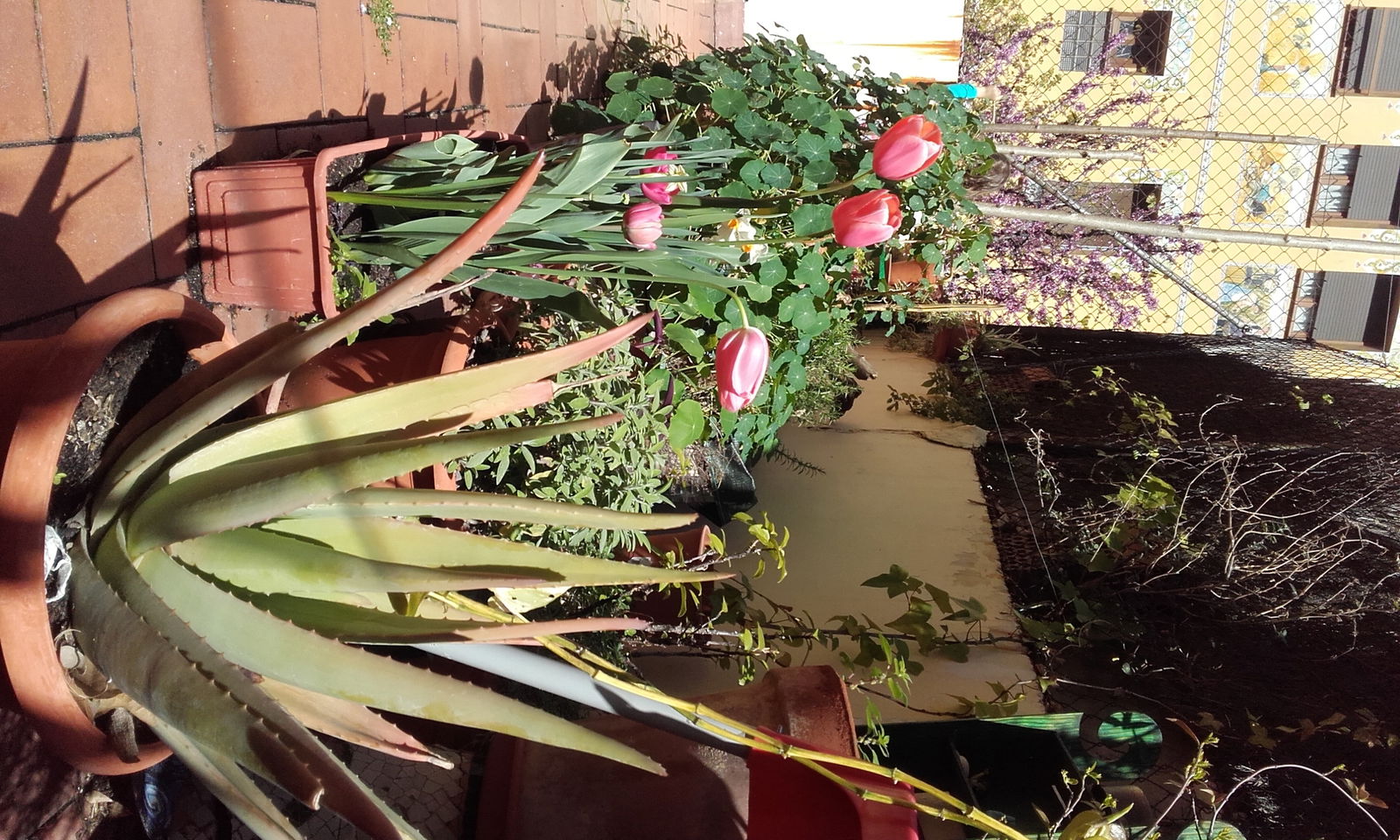 Homestay Barcelona 117089