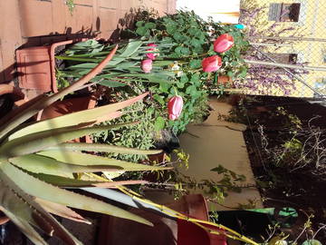 Chambre Chez L'habitant Barcelona 117089-6