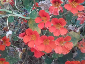 Chambre Chez L'habitant Barcelona 117089-7